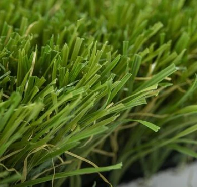 Yalena Verdite Monobacking